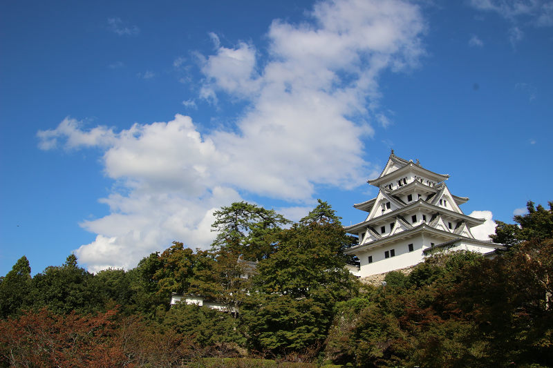 晴天に映える郡上八幡城